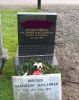 Photo of headstones/thumb_James MacLennan died 1918 France MI Rosskeen
